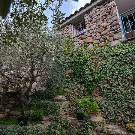 Baralla 4* Dorgali